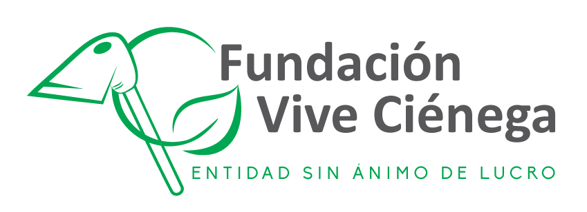 Fundación Vive Ciénega